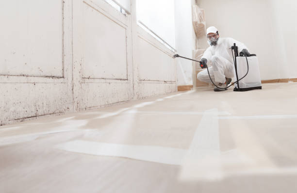 24/7 Emergency Attic Mold Removal experts in Siler City, NC