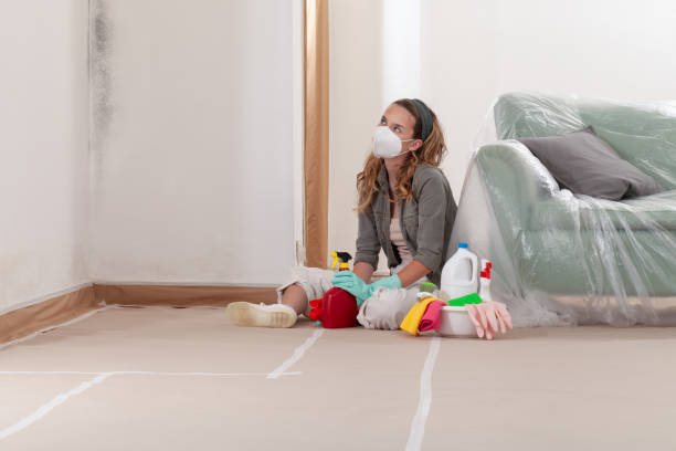 Reliable Attic Mold Removal contractor in Siler City, NC by WQB Mold Removal