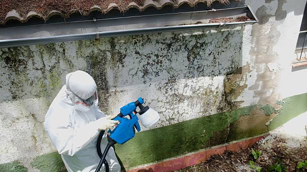 Top rated local Attic Mold Removal specialists in Siler City, NC
